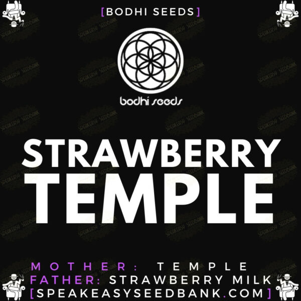 Bodhi Seeds presents Strawberry Temple