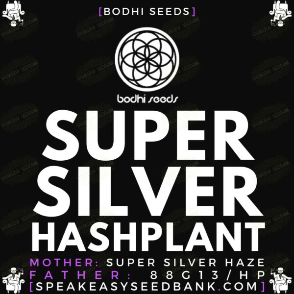 Speakeasy presents Super Silver Hashplant