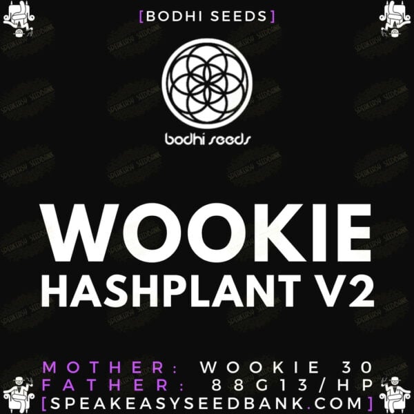Speakeasy presents Wookie Hashplant V2