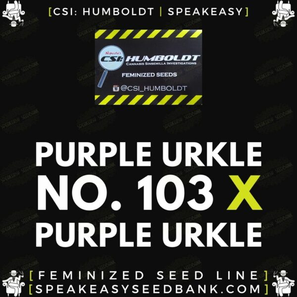 Speakeasy presents Purple Urkle #103 x Purple Urkle