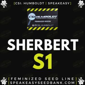 Speakeasy presents Sherbet S1