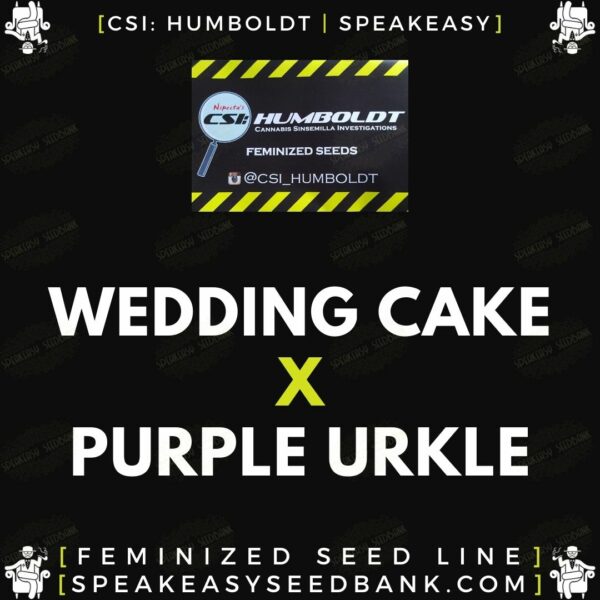 Speakeasy presents Wedding Cake x Purple Urkle