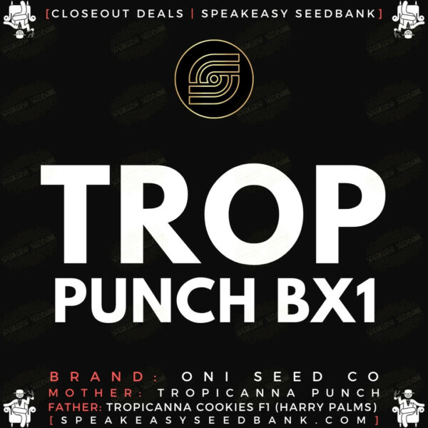 Speakeasy Seedbank - Closeout Deals - Trop Punch BX1