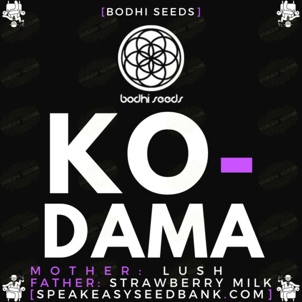Speakeasy presents Kodama