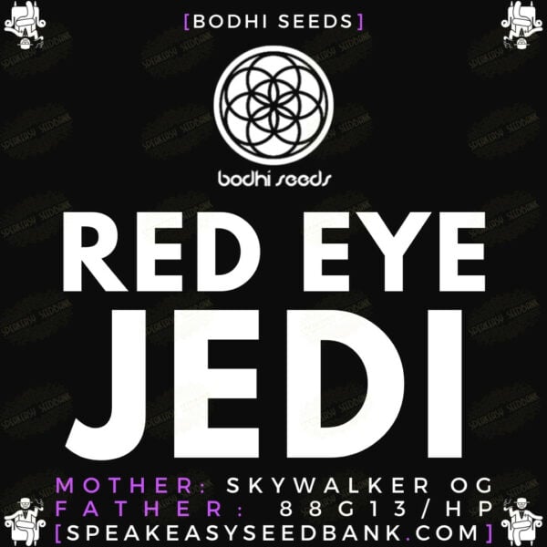 Bodhi Seeds presents Red Eye Jedi