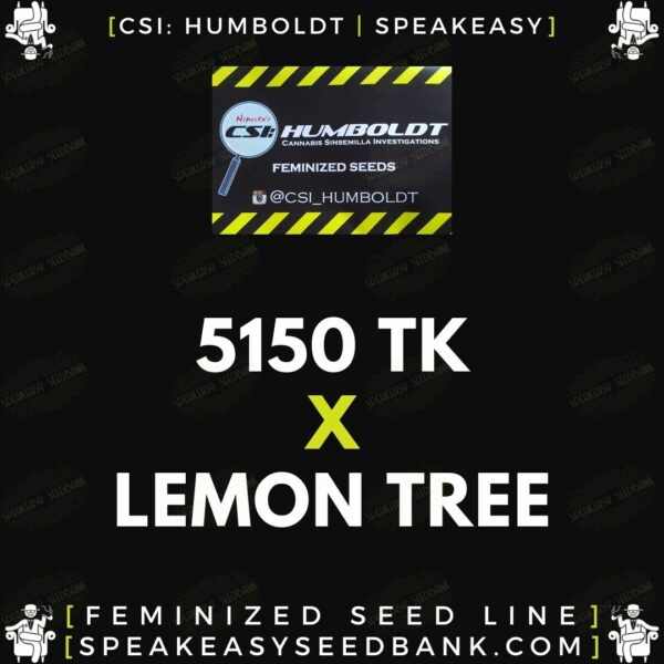 Speakeasy presents 5150TK x Lemon Tree