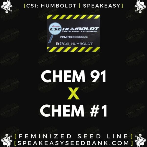 Speakeasy presents Chem 91 x Chem 1