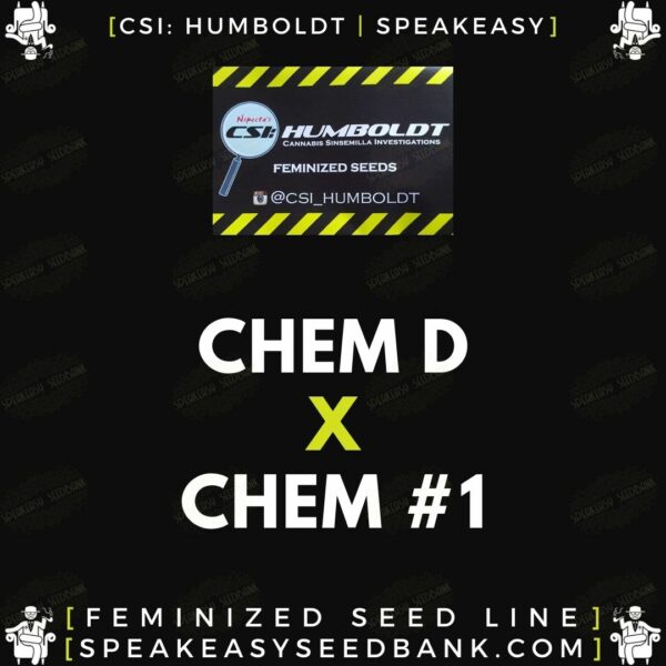 Speakeasy presents Chem D x Chem 1