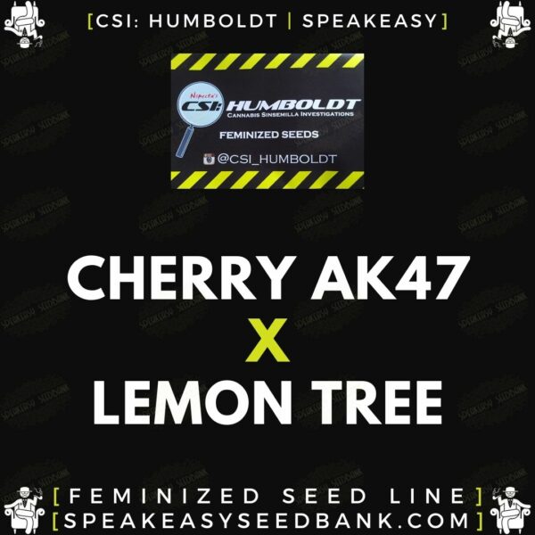 Speakeasy presents Cherry AK47 x Lemon Tree
