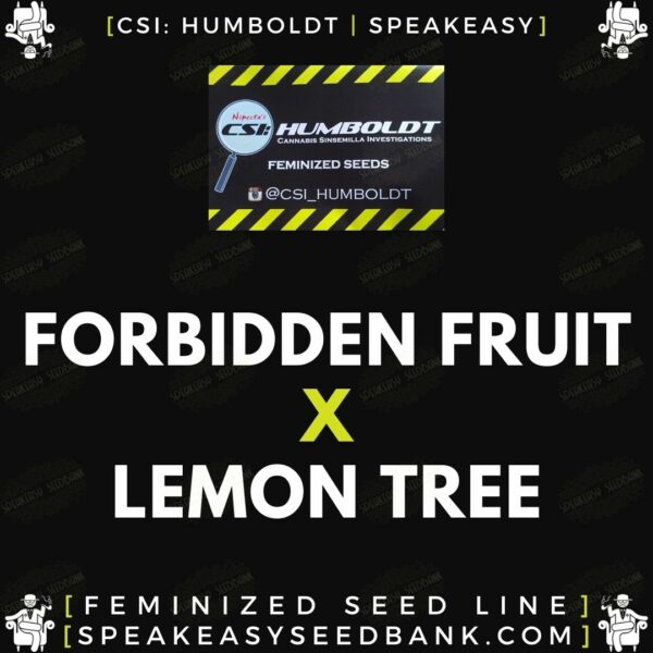 Speakeasy presents Forbidden Fruit x Lemon Tree