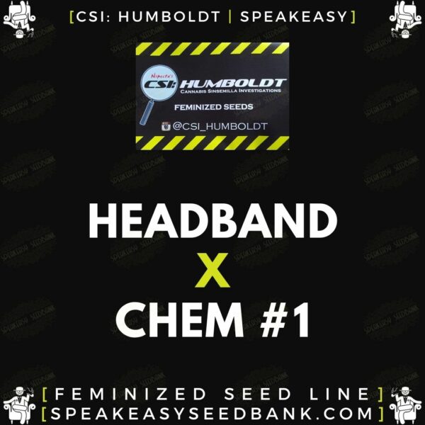 Speakeasy presents Headband x Chemdog #1