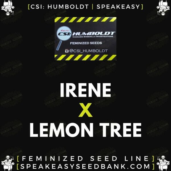 Speakeasy presents Irene x Lemon Tree