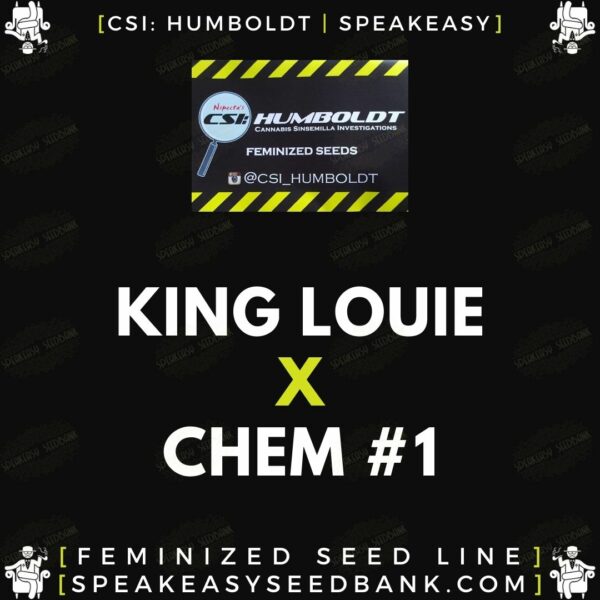 Speakeasy presents King Louie x Chem 1