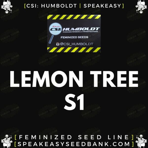Speakeasy presents Lemon Tree S1