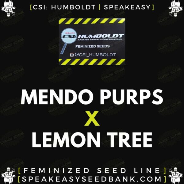 Speakeasy presents Mendo Purps x Lemon Tree