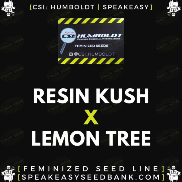 Speakeasy presents Resin Kush x Lemon Tree