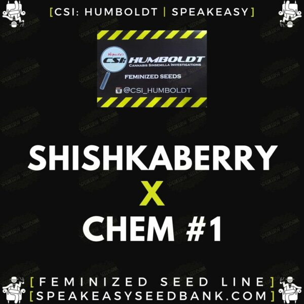 Speakeasy presents Shishkaberry x Chem 1