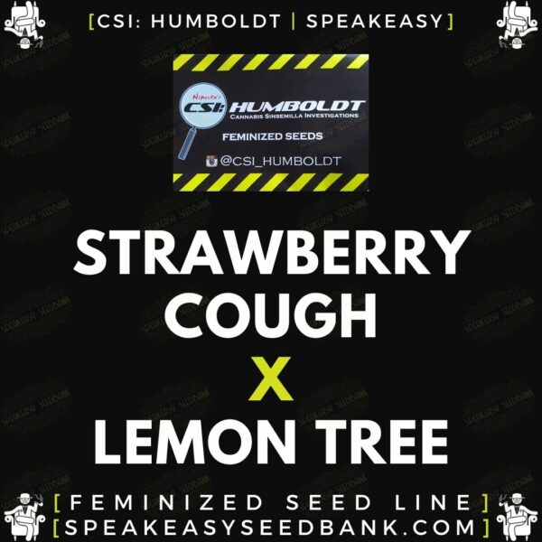 Speakeasy presents Strawberry Cough x Lemon Tree