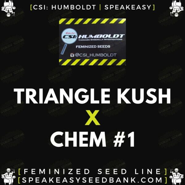 Speakeasy presents Triangle Kush x Chemdog #1