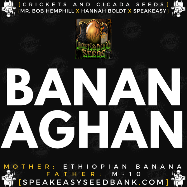 Speakeasy presents Bananaghan