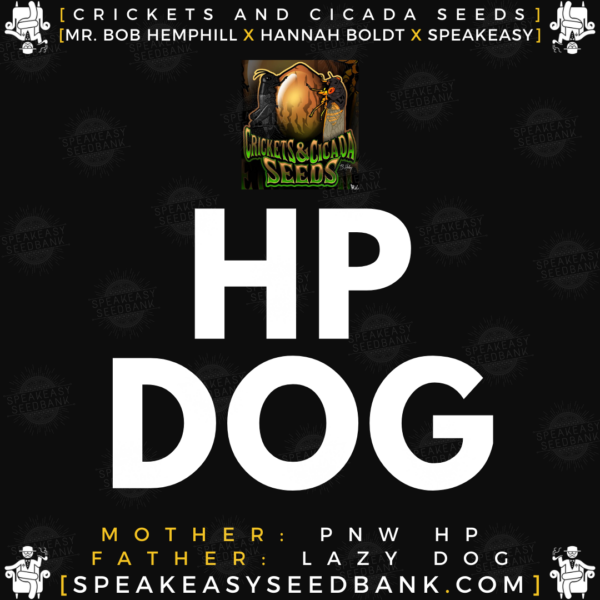 Speakeasy presents HP Dog