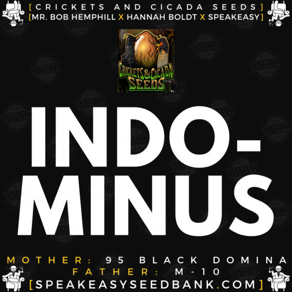 Speakeasy presents Indominus