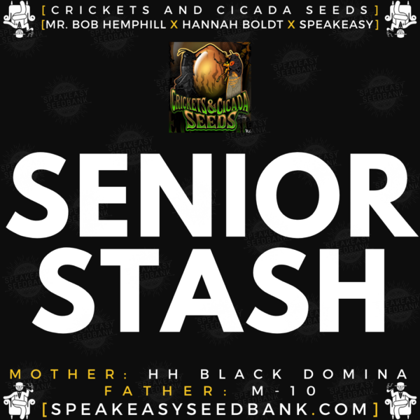 Speakeasy presents Senior Stash