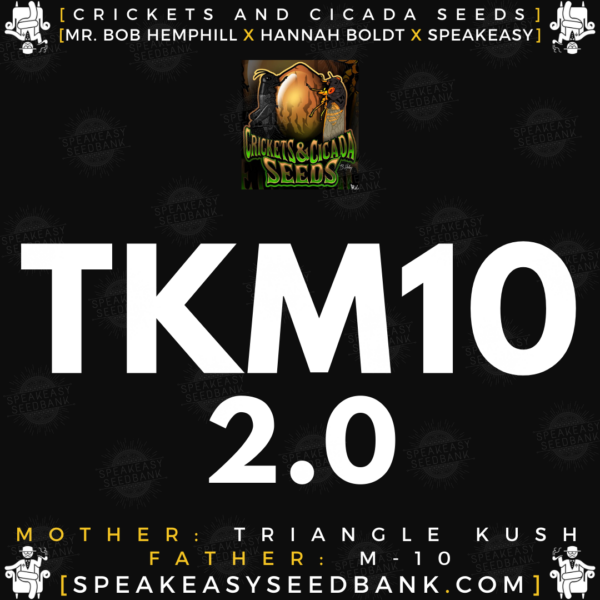 Speakeasy presents TKM10 2.0