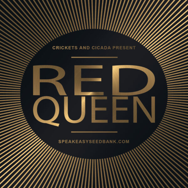 Speakeasy presents Red Queen