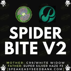 Speakeasy presents Spiderbite V2