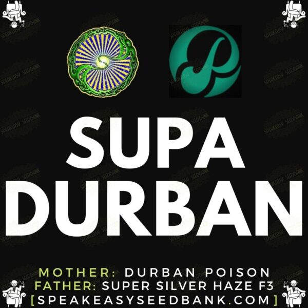 Speakeasy presents Supa Durban