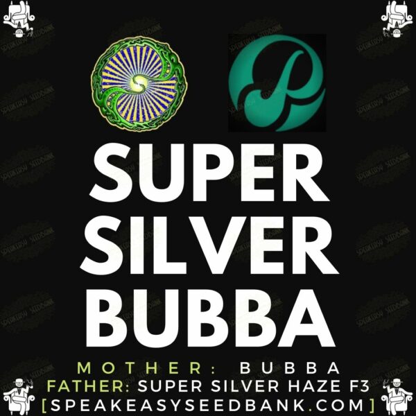 Speakeasy presents Super Silver Bubba