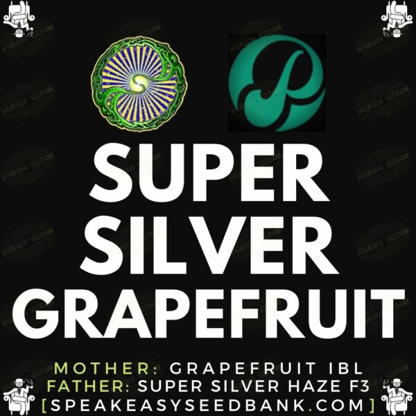 Speakeasy presents Super Silver Grapefruit