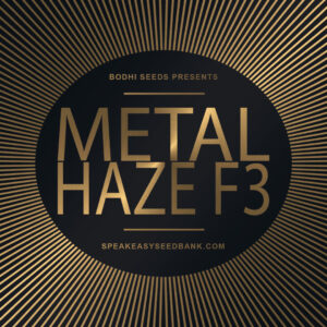 Bodhi Seeds presents Metal Haze F3