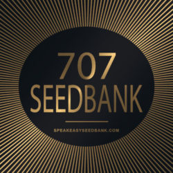 Speakeasy presents 707 Seedbank