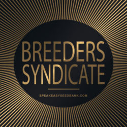 Speakeasy presents Breeders Syndicate