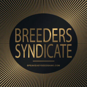 Breeders Syndicate
