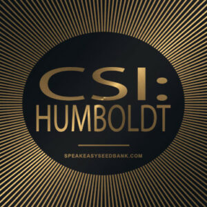 CSI: Humboldt (Feminized Seeds)