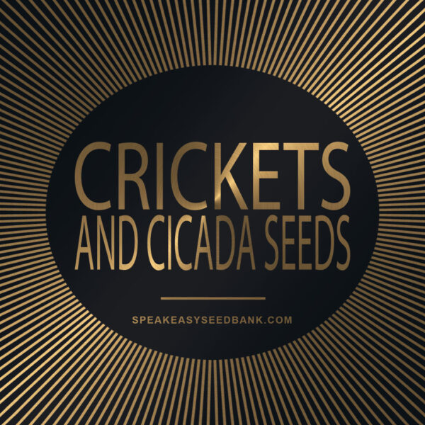 Speakeasy presents Crickets and Cicada Seeds