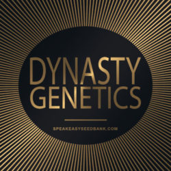 Speakeasy presents Dynasty Genetics