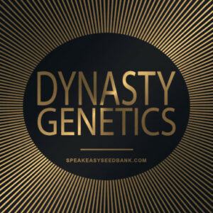 Dynasty Genetics*