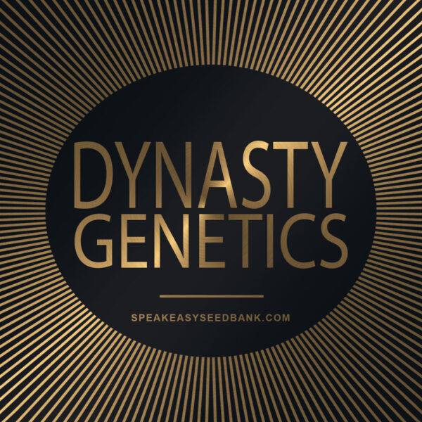 Professor P presents Dynasty Genetics