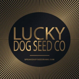 Lucky Dog Seed Co (Skunk VA)