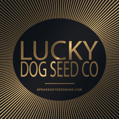 Speakeasy presents Lucky Dog Seed Co