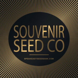 Souvenir Seed Co (Feminized Seeds)*