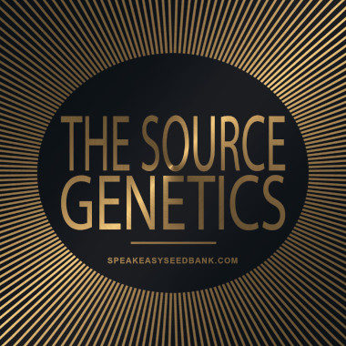 Speakeasy presents The Source Genetics