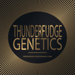 Speakeasy presents Thunderfudge Genetics