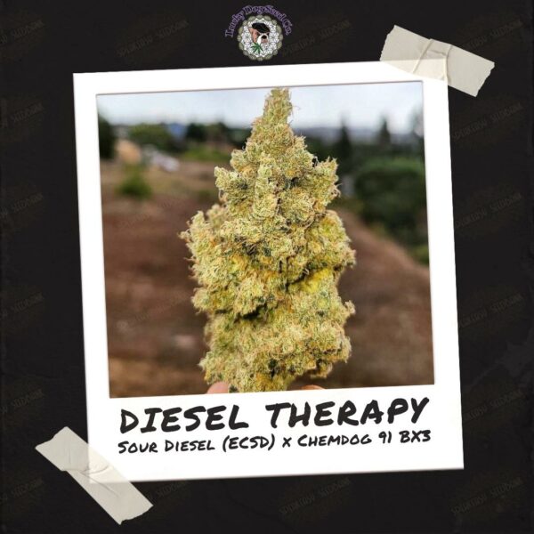 Diesel Therapy V2 by Lucky Dog Seed Co