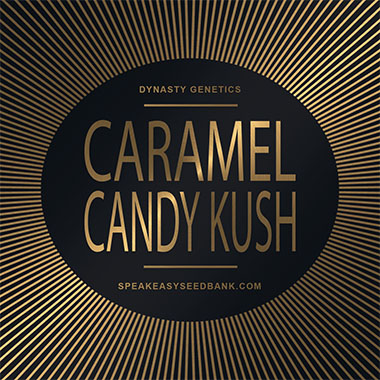 Speakeasy presents Caramel Candy Kush