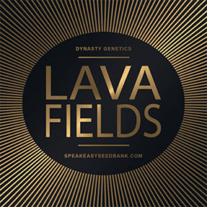 Speakeasy presents Lava Fields